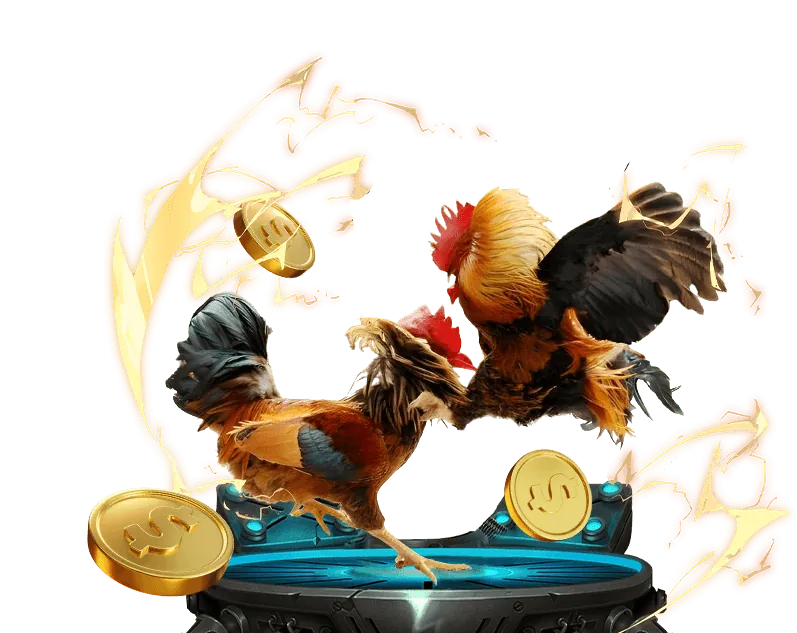 Cá cược thể thao Jun88